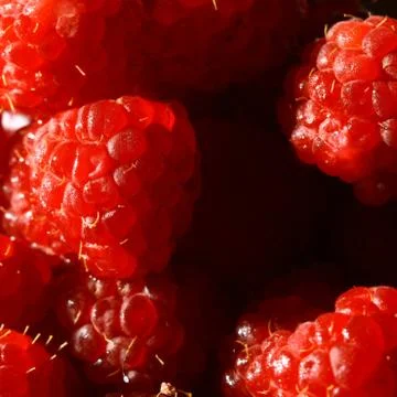 Raspberry Foto stock