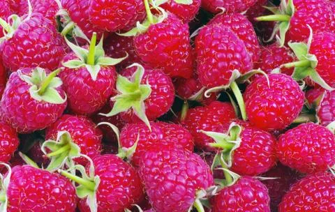 Raspberry Foto stock