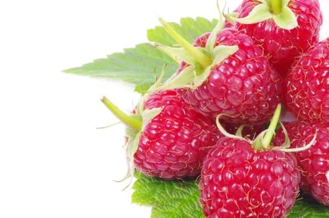 Raspberry Stock-Fotos