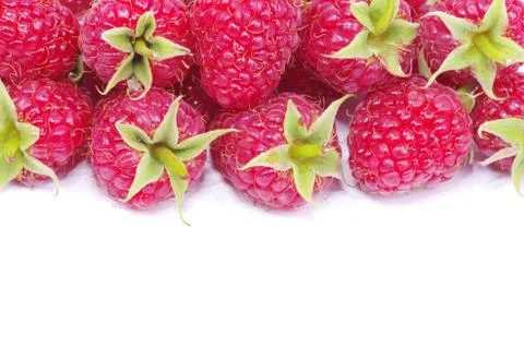 Raspberry Stock Photos