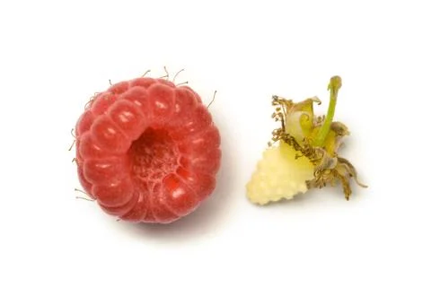 Raspberry Foto stock