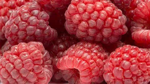 Raspberry Stock Photos