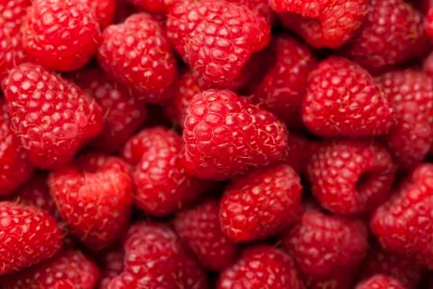 Raspberry Stock Photos