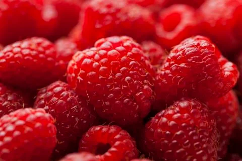 Raspberry Stock Photos