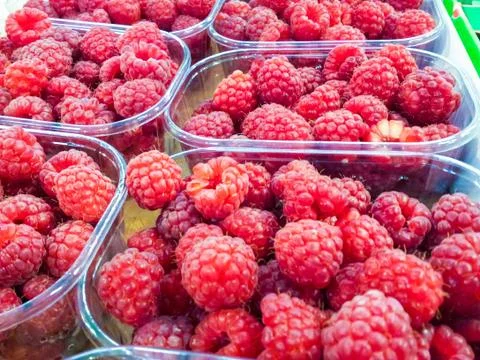 Raspberry Foto stock
