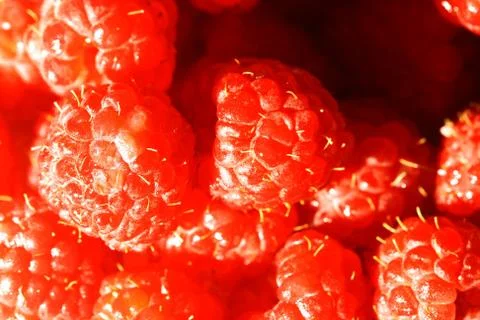 Raspberry Stock Photos