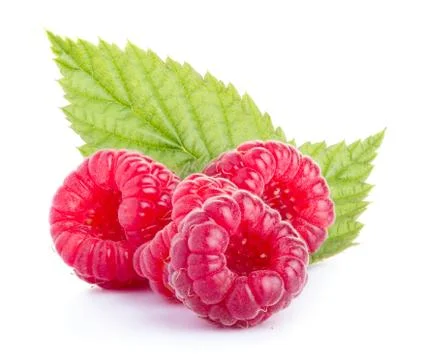 Raspberry Stock Photos