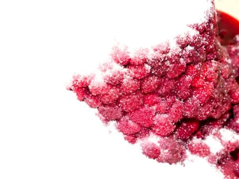 Raspberry. Stock-Fotos