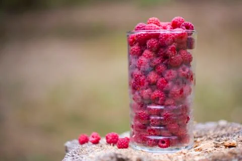 Raspberry Stock Photos