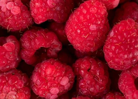 Raspberry 스톡 사진