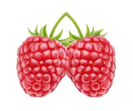 Raspberry Stock Photos