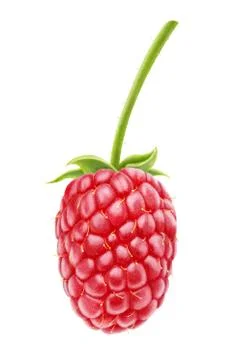 Raspberry Foto stock