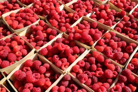 Raspberry Stock Photos