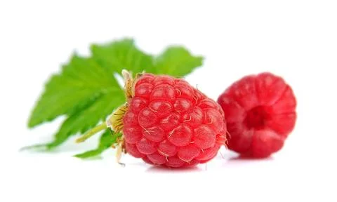 Raspberry Foto stock