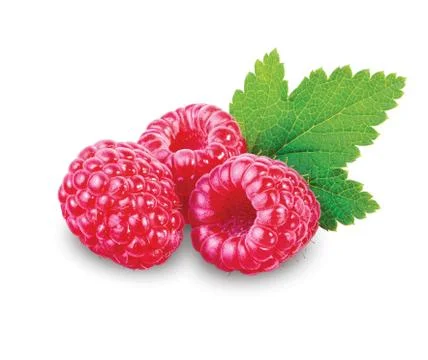 Raspberry Stock Photos