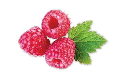 Raspberry Stock Photos
