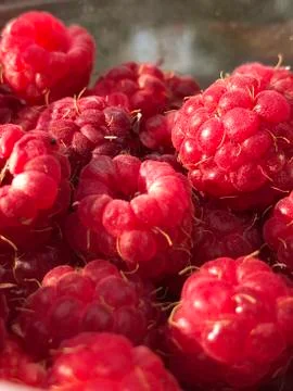 Raspberry Stock Photos