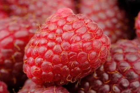 Raspberry Stock Photos