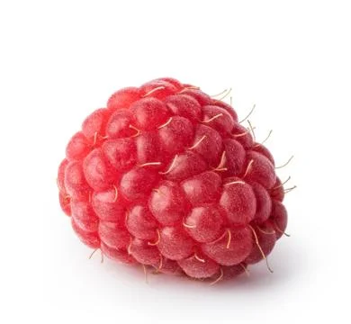 Raspberry Stock Photos