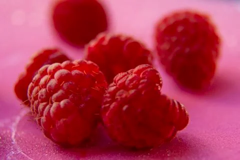 Raspberry on a pink background. two berries in the front background in focus Stock Photos