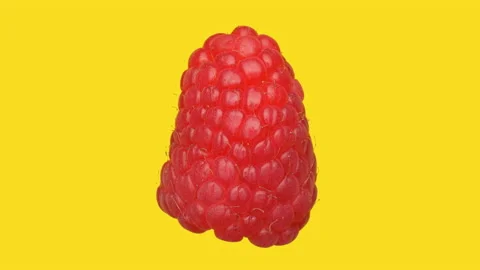 Raspberry - Pink Berry Fruit Close Up  Stock Footage 157596205