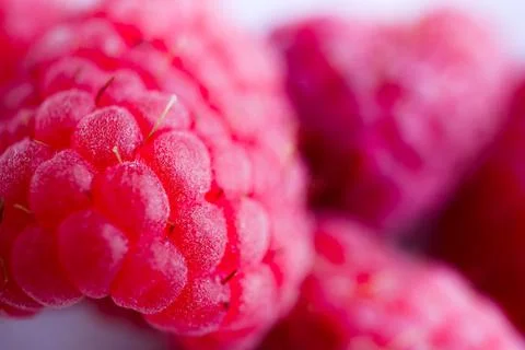Raspberry, Pink Fruit, Close-Up, Top Down, Highly Detailed 6 Stock Photos
