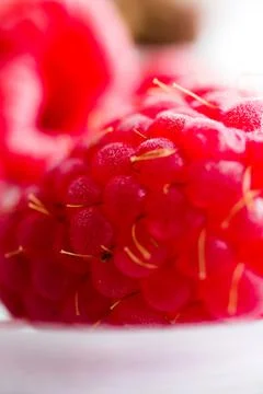 Raspberry, Pink Fruit, Close-Up, Top Down, Highly Detailed 4 Stock Photos
