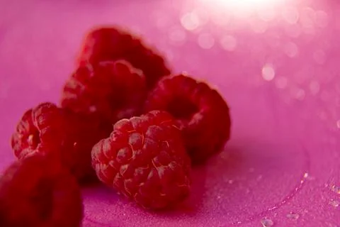 Raspberry on the pink side, place for text. Stock Photos