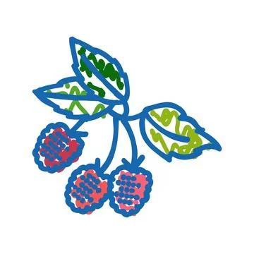 Raspberry plant delicious icon doodle illustration Stock Illustration