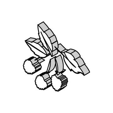 Raspberry plant delicious isometric icon vector illustration Stock Illustration