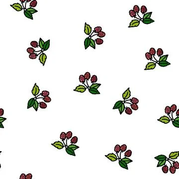 Raspberry plant delicious vector seamless pattern Stock Illustration
