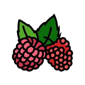 Raspberry plant leaf fresh color icon vector illustration Stock Illustration