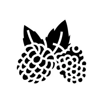 Raspberry plant leaf fresh glyph icon vector illustration Stock Illustration
