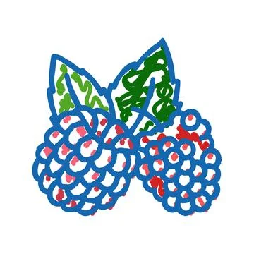 Raspberry plant leaf fresh icon doodle illustration Stock Illustration