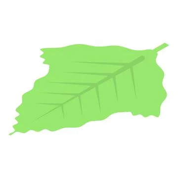 Raspberry plant leaf icon, isometric style Stock Illustration