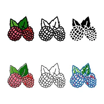 Raspberry plant styles leaf fresh color icon vector イラスト素材
