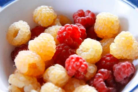 Raspberry on the plate close up after harvest Foto stock