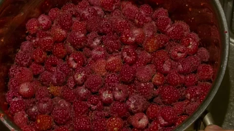 Raspberry in a pot Видео 63321576