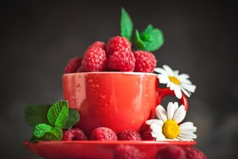 Raspberry. Raspberries in a Cup on a dark background. Summer and healthy food Stock Photos