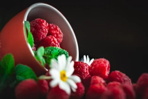 Raspberry. Raspberries in a Cup on a dark background. Summer and healthy food Stock Photos