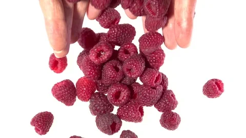 Raspberry. Raspberry berries are poured from the hands on a white table. Video stock 81827994