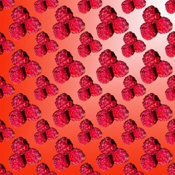 Raspberry on red and white gradient background, pattern, close-up, t Stock Photos