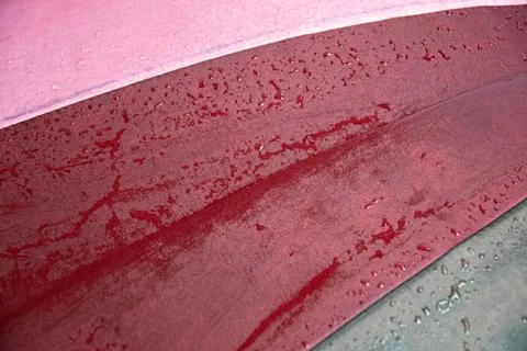 Raspberry red color surface of wet umbrella closeup with water drops Foto stock