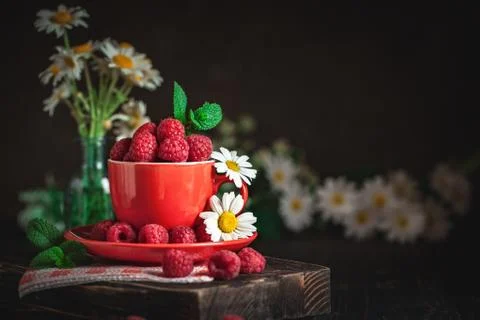 Raspberry in a red cup with chamomile and leaves on a dark background. Summer Foto stock