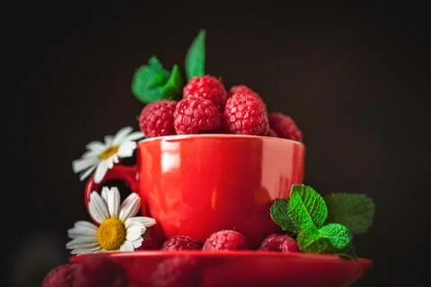 Raspberry in a red cup with chamomile and leaves on a dark background. Summer Foto stock