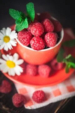 Raspberry in a red cup with chamomile and leaves on a dark background. Summer Stock Photos
