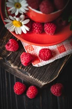 Raspberry in a red cup with chamomile and leaves on a dark background. Summer Stock Photos