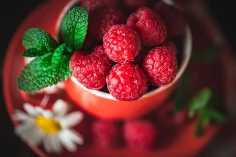 Raspberry in a red cup with chamomile and leaves on a dark background. Summer Stock Photos