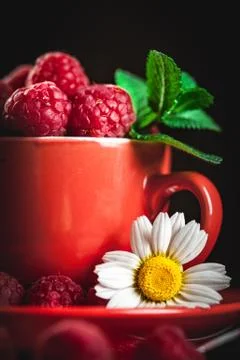 Raspberry in a red cup with chamomile and leaves on a dark background. Summer Foto stock