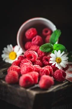 Raspberry in a red cup with chamomile and leaves on a dark background. Summer Stock Photos